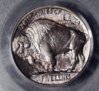 1913T1NickelPCGS ms 67 1.3.jpg  copy.jpg