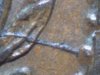 1821 St Helena Die 2 crack 60x.jpg