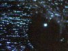 Spider eye 200x.jpg