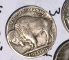 36 buf 2 reverse.jpg