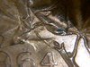 IMG-20141029-14575.jpg