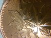 IMG-20141029-14577.jpg