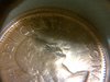 IMG-20141029-14582.jpg