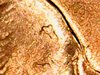 Mon Dec 08 19-29-02.jpg