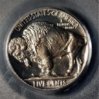 1937PCGSPR66Cameo 7.1.jpg