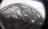 closeup2.jpg