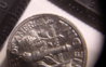 closeup3.jpg