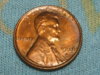 DSCF7570.JPG