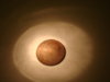 dime by flashlight.JPG