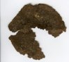 hammered cent-sml.jpg