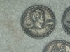 DSCI0442.JPG