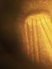 FullSizeRender-10.jpg