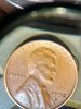 IMG_20150110_012748529_HDR[1].jpg