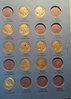 Buffalo Nickels #3b.jpg