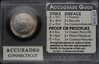 Accu(g)radeREV.JPG