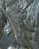 leg.jpg