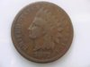 1877 cent Obv.jpg