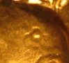 L98d-DL-209smsz.jpg