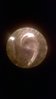 WP_20150122_019.jpg