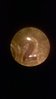 WP_20150125_007.jpg