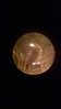 WP_20150125_008.jpg