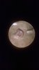 WP_20150128_001.jpg