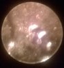 WP_20150130_013.jpg