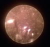 WP_20150130_014.jpg