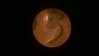 WP_20150209_026.jpg