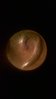 WP_20150209_021.jpg