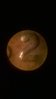 WP_20150209_015.jpg