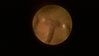 WP_20150209_033.jpg