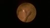 WP_20150209_034.jpg