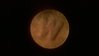 WP_20150209_040.jpg