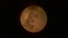 WP_20150209_041.jpg