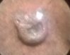 WP_20150209_005.jpg