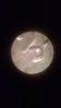 WP_20150210_001.jpg