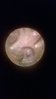 WP_20150210_017.jpg