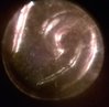 WP_20150213_008.jpg