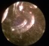 WP_20150213_012.jpg