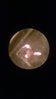 WP_20150213_016.jpg