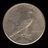 1928 Peace dollar, rev.jpeg