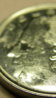 P4070028_01.JPG