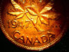 canadian01.jpg