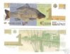carpy.JPG