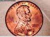 2011 penny wing 5.jpg