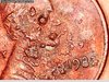 1982 penny messy obv 4.jpg
