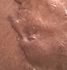 WP_20150302_013.jpg