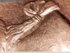 1994 D Quarter 7.jpg