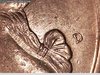 1994 D Quarter 9.jpg